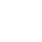 Data Breaches