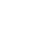 Compliance Issues